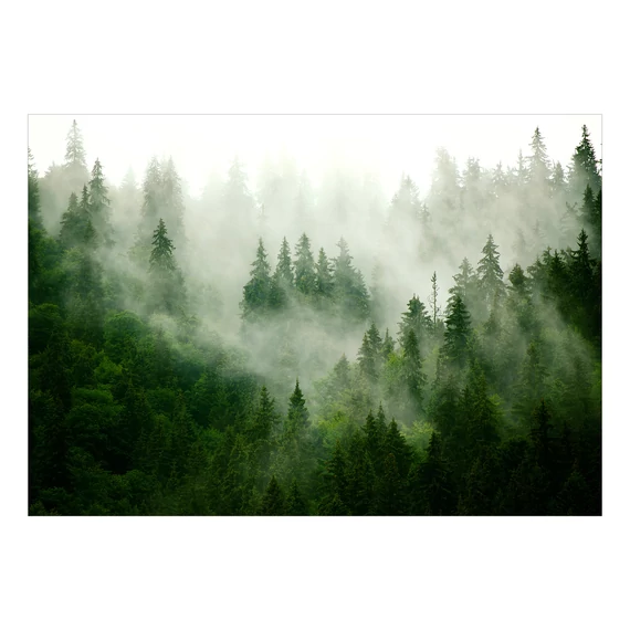 Fotótapéta - Mountain Forest (Green)