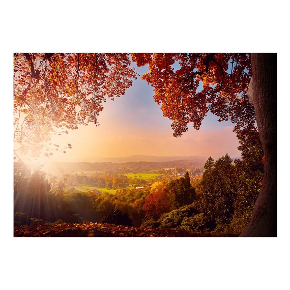 Fotótapéta - Autumn Delight