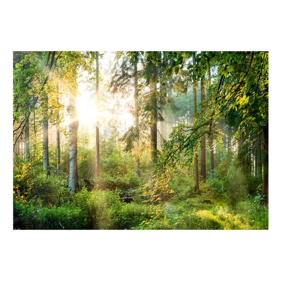 Öntapadó fotótapéta - Untamed Nature