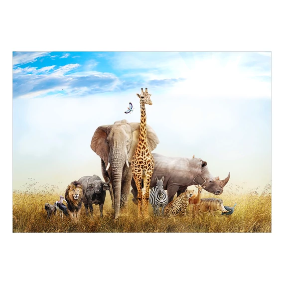 Öntapadó fotótapéta - Fauna of Africa
