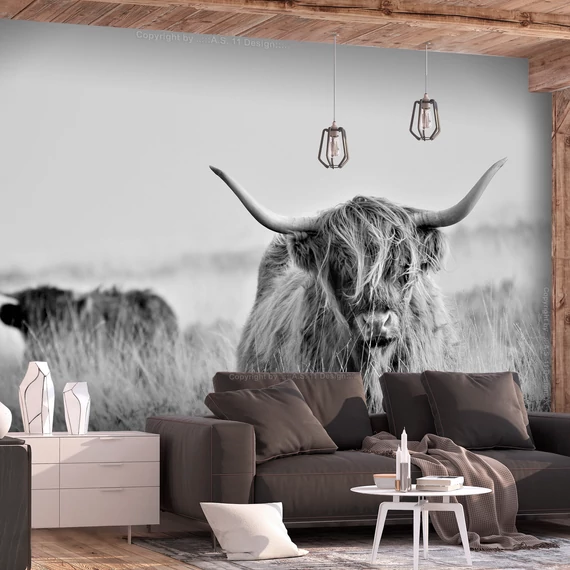Öntapadó fotótapéta - Highland Cattle