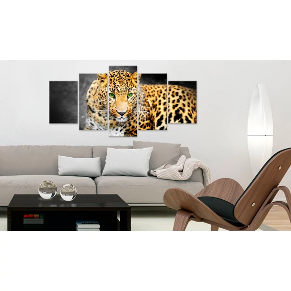 Kép - Green-eyed leopard