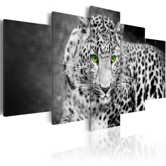 Kép - Leopard - black&white