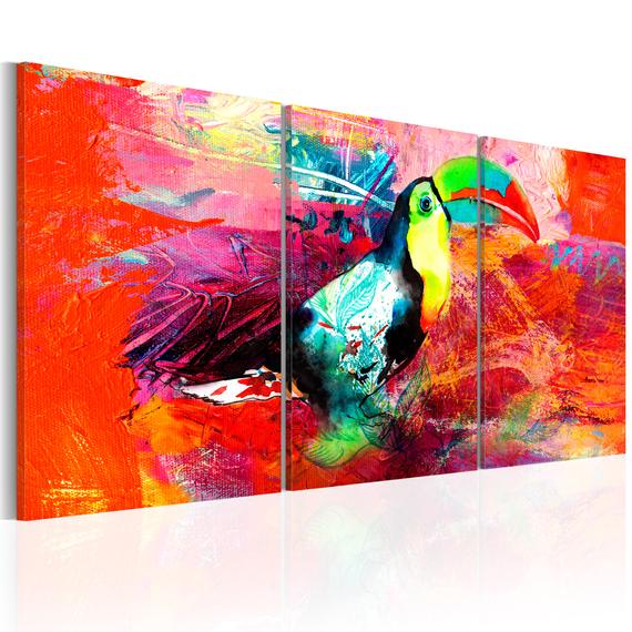 Kép - Colourful Toucan