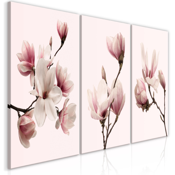 Kép - Spring Magnolias (3 Parts)