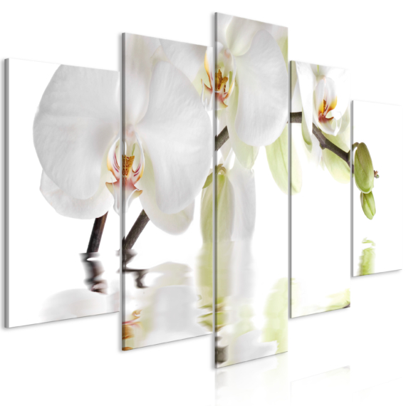 Kép - Wonderful Orchid (5 Parts) Wide