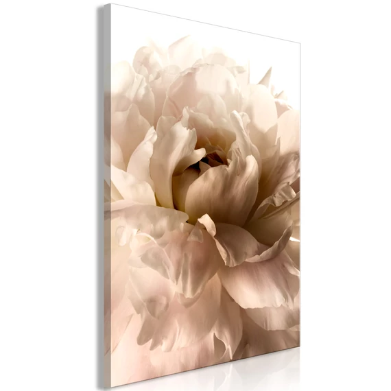 Kép - Soft Petals (1 Part) Vertical