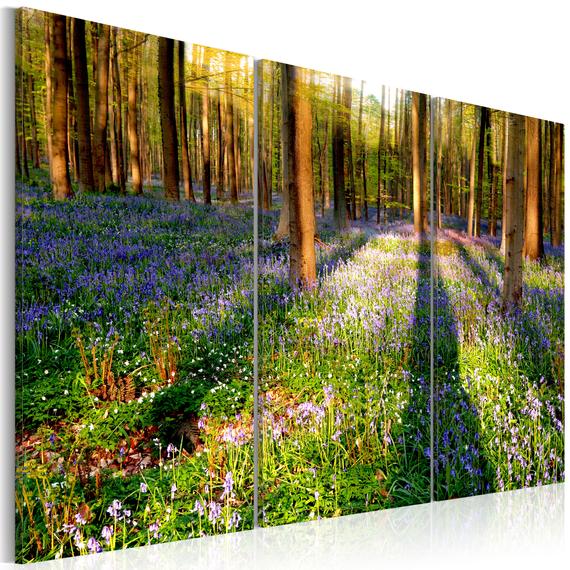 Kép - Spring Forest
