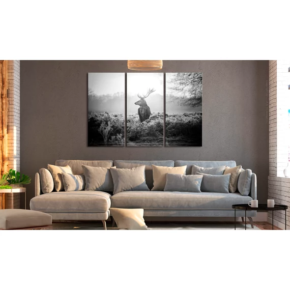 Kép - Black and White Deer I