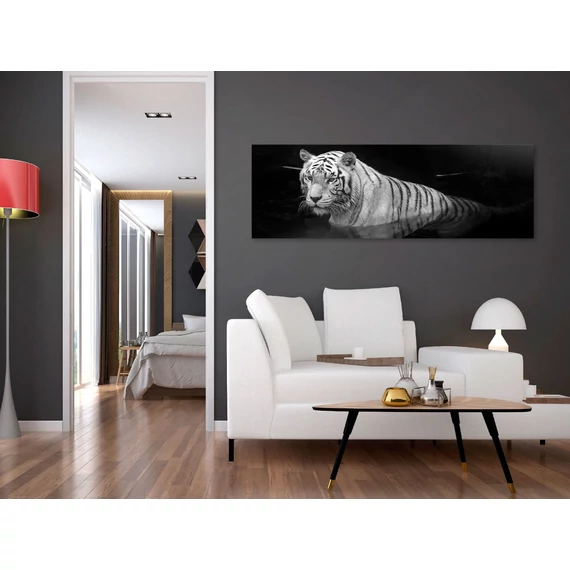 Kép - Shining Tiger (1 Part) Black and White Narrow