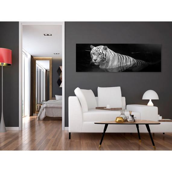 Kép - Shining Tiger (1 Part) Black and White Narrow