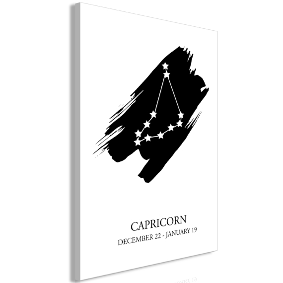 Kép - Zodiac Signs: Capricorn (1 Part) Vertical