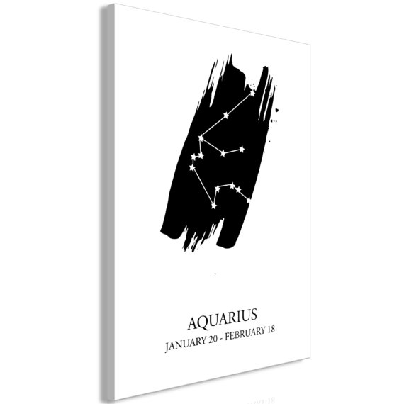 Kép - Zodiac Signs: Aquarius (1 Part) Vertical