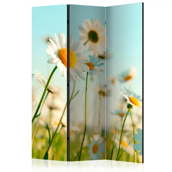 Paraván - Daisies - spring meadow [Room Dividers]