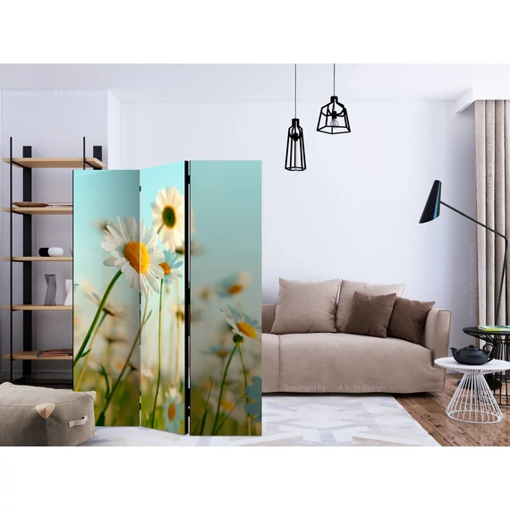 Paraván - Daisies - spring meadow [Room Dividers]