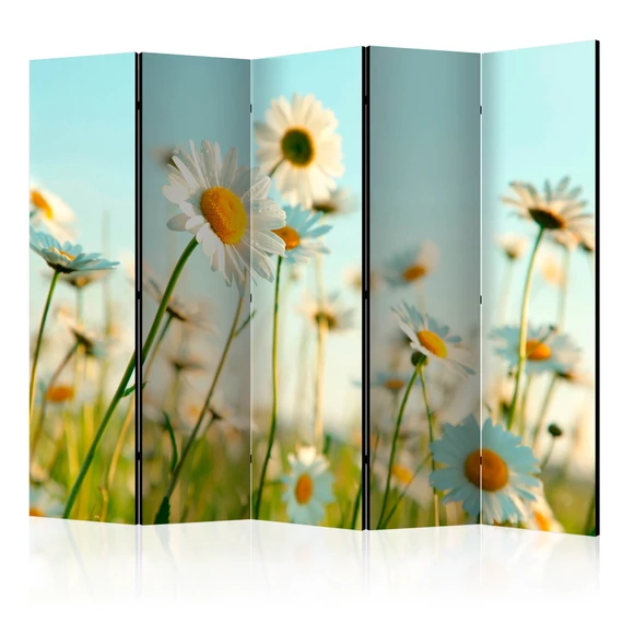 Paraván - Daisies - spring meadow II [Room Dividers]