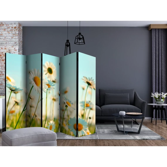 Paraván - Daisies - spring meadow II [Room Dividers]