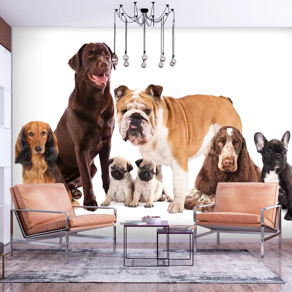 Fotótapéta - Dog Integration