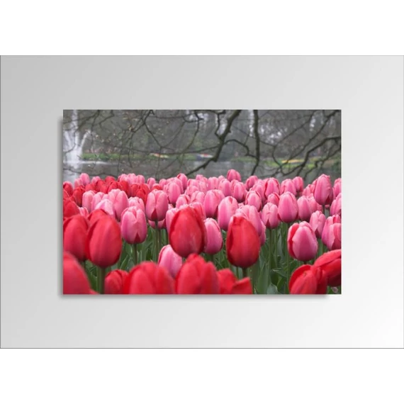 Digital Art vászonkép | 1219-S Tulpen ONE