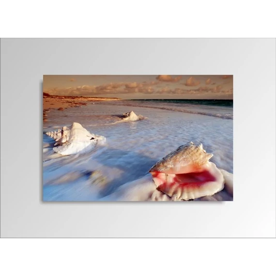 Digital Art vászonkép | 1221-S Seashell ONE