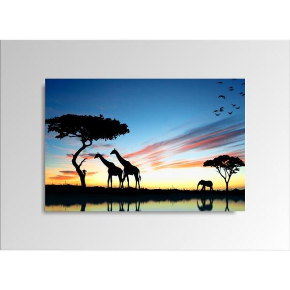 Digital Art vászonkép | 1229-S African Sunset ONE