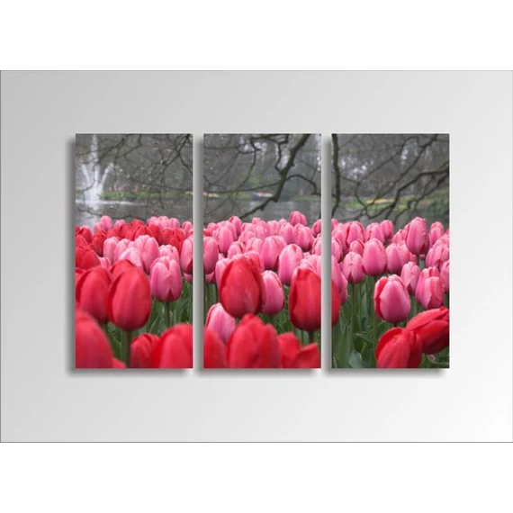 Digital Art vászonkép | 1219-S Tulpen THREE