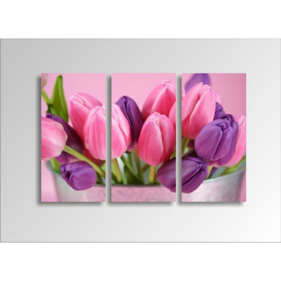 Digital Art vászonkép | 1211-S Tulipe Colore THREE