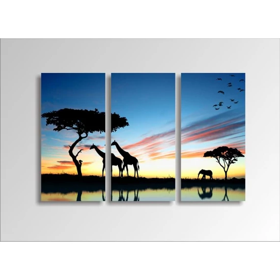 Digital Art vászonkép | 1229-S African Sunset THREE