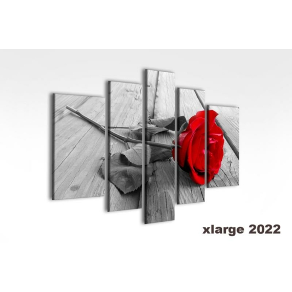 Digital Art vászonkép | 2022-S grigio rosa