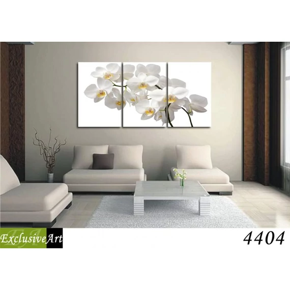 Exclusive Art vászonkép | 4404