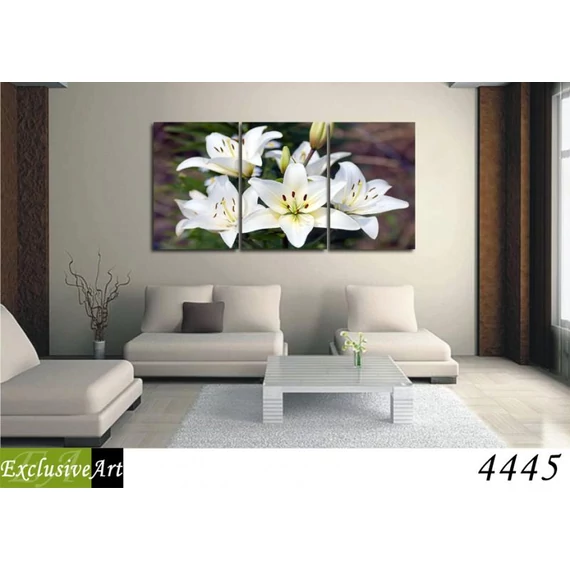 Exclusive Art vászonkép | 4445