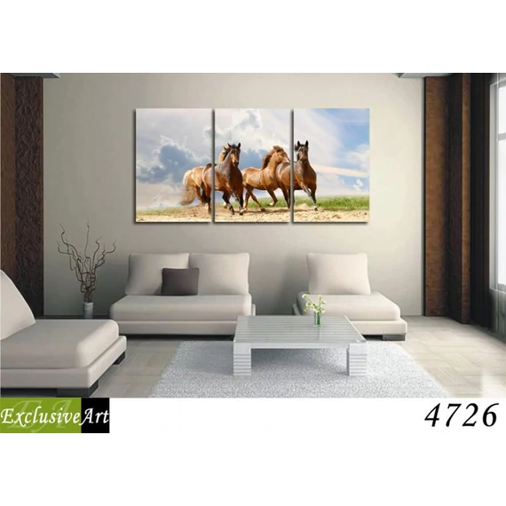 Exclusive Art vászonkép | 4726