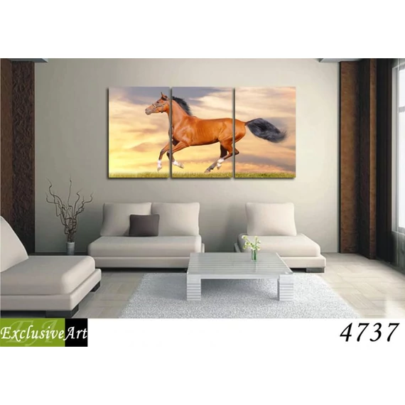 Exclusive Art vászonkép | 4737