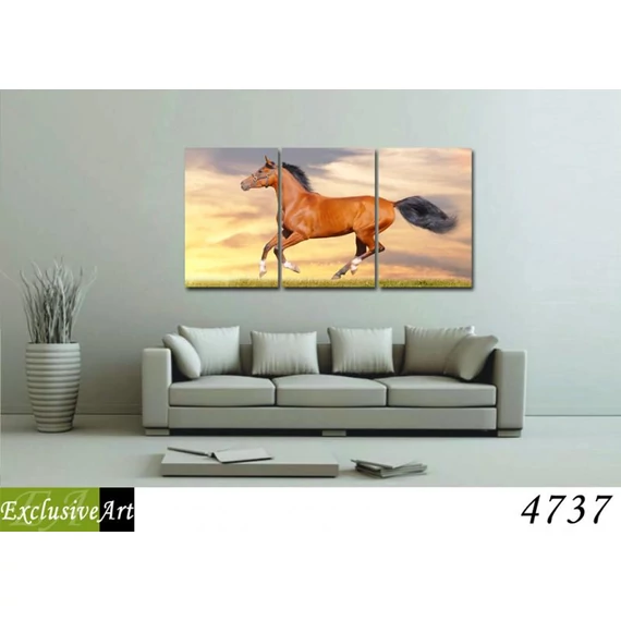 Exclusive Art vászonkép | 4737
