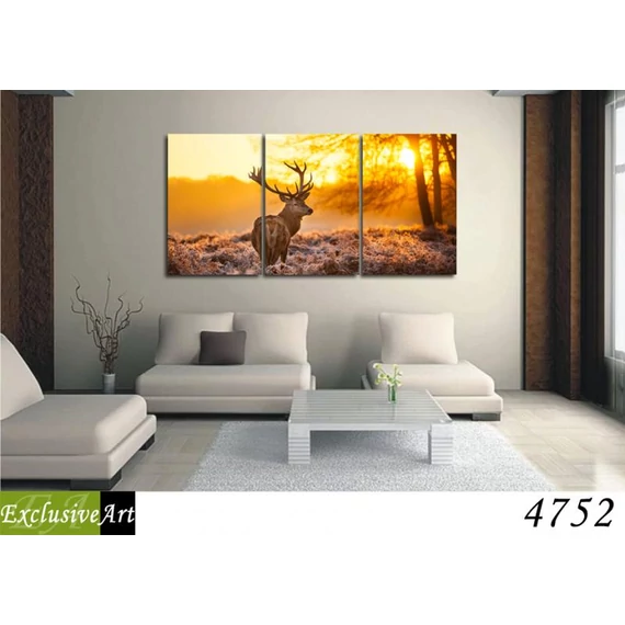 Exclusive Art vászonkép | 4752