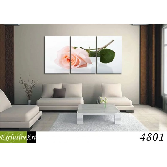 Exclusive Art vászonkép | 4801