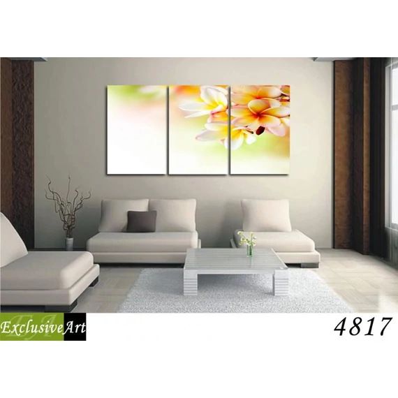 Exclusive Art vászonkép | 4817