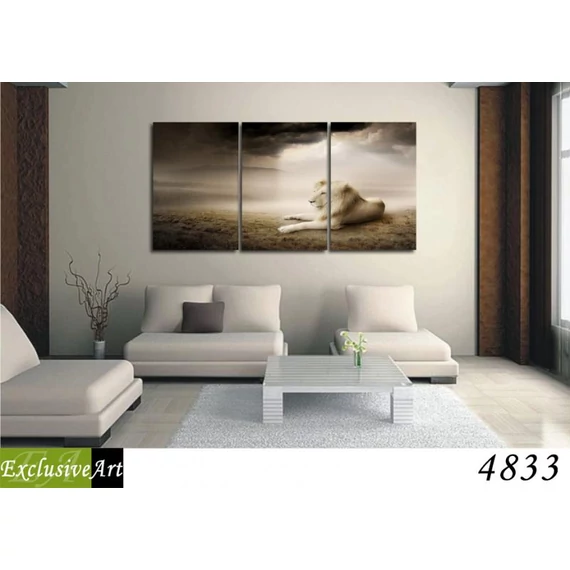 Exclusive Art vászonkép | 4833