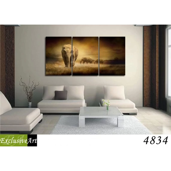 Exclusive Art vászonkép | 4834