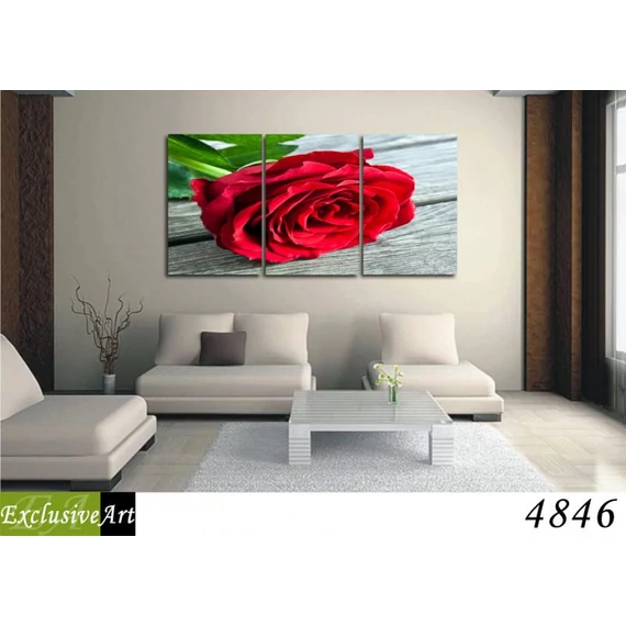 Exclusive Art vászonkép | 4846