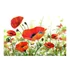 Kép 2/4 - Fotótapéta - Country poppies