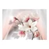 Kép 2/4 - Fotótapéta - White magnolias