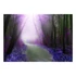 Kép 2/4 - Öntapadó fotótapéta - Purple path