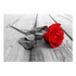 Kép 2/4 - Öntapadó fotótapéta - Abandoned Rose