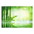 Kép 2/4 - Öntapadó fotótapéta - Bamboo Grove