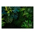 Kép 2/4 - Öntapadó fotótapéta - Dark Jungle