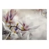 Kép 2/4 - Fotótapéta - Subtle Magnolias - First Variant