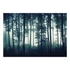 Kép 2/4 - Fotótapéta - Dark Forest