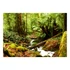 Kép 2/4 - Fotótapéta - Forest Brook