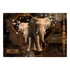 Kép 2/4 - Öntapadó fotótapéta - Brown Elephants